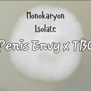 Penis Envy x TAT Black Cap Monokaryon Research Plate (PExTBC)