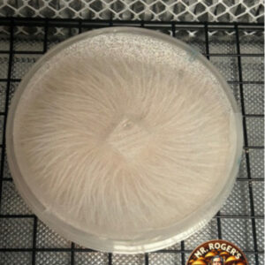 King Yeti Research Plate