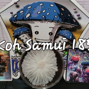 Koh Samui 185 Research Plate