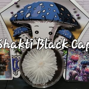 Shakti Black Cap Research Plate