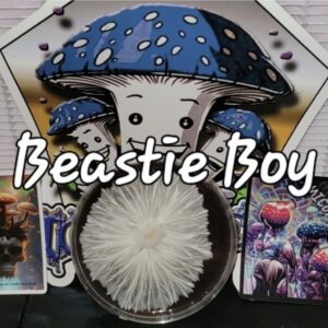 Beastie Boy Research Plate