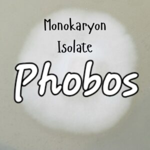 Phobos Monokaryon Isolate Research Plate