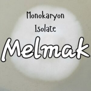 Melmak Monokaryon Isolation Research Plate