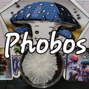 Phobos Research Plate