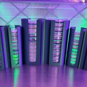 Agar DubStack - 100mm or 60mm