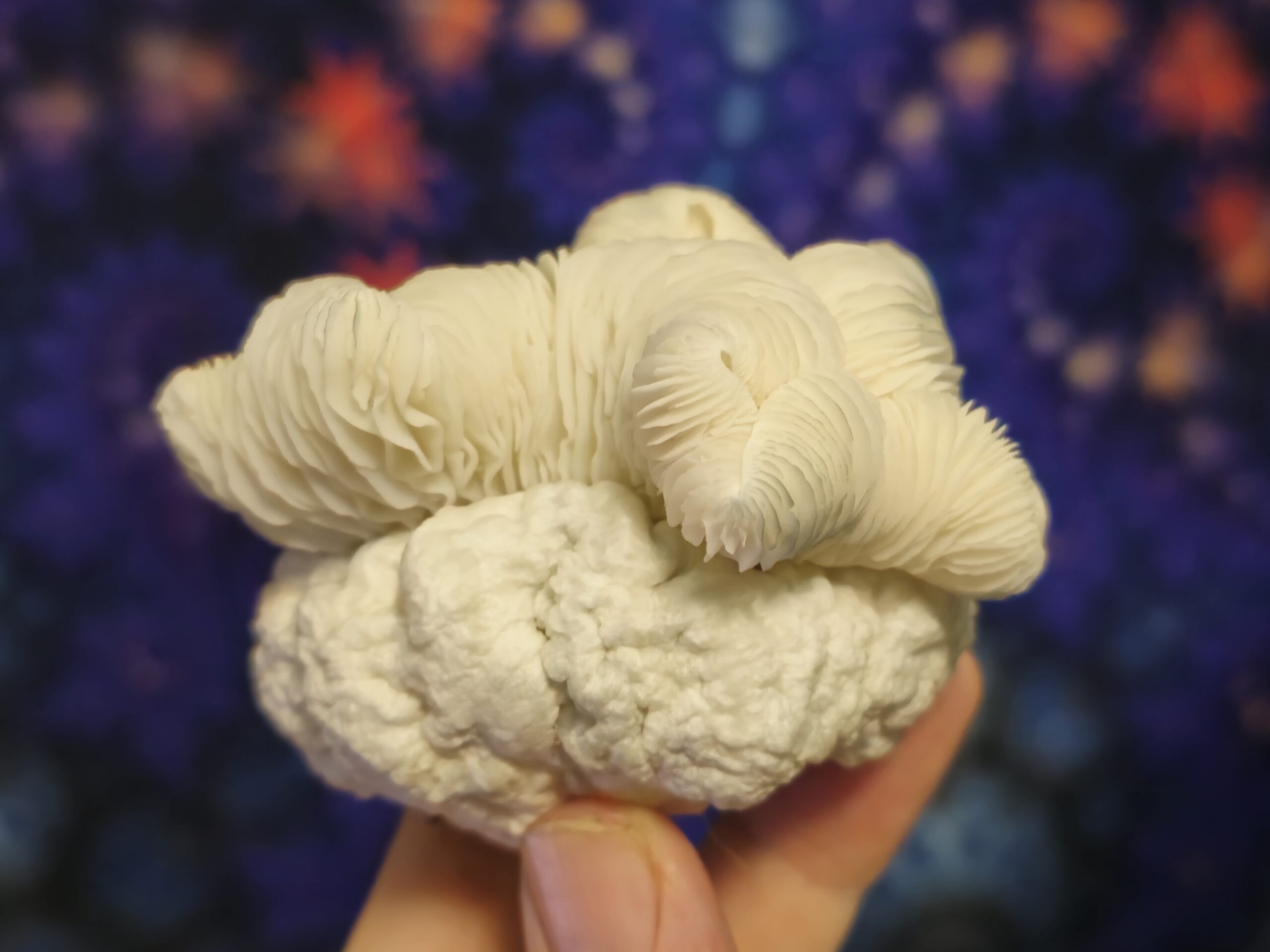 Grumblestump Spore Swabs - Image 2