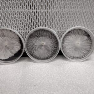 TaT 60mm Research Plate