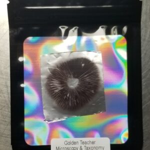 Golden Teacher Spore Print