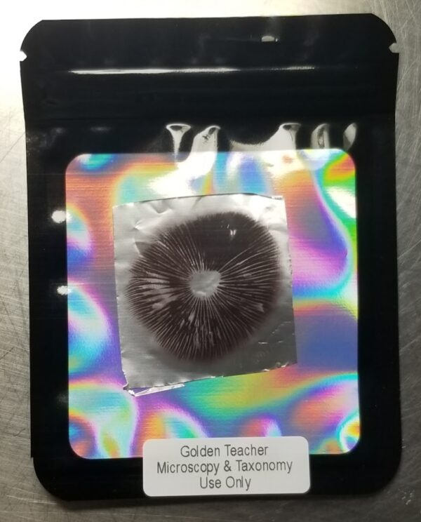 Golden Teacher Spore Print