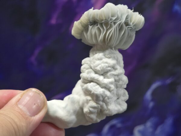Albino Gollum 10ml Research Syringe - Image 2