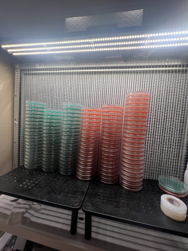 (5) Pre poured 100mm Cell Treat Petri Dishes W/ Grip Ring - Image 5