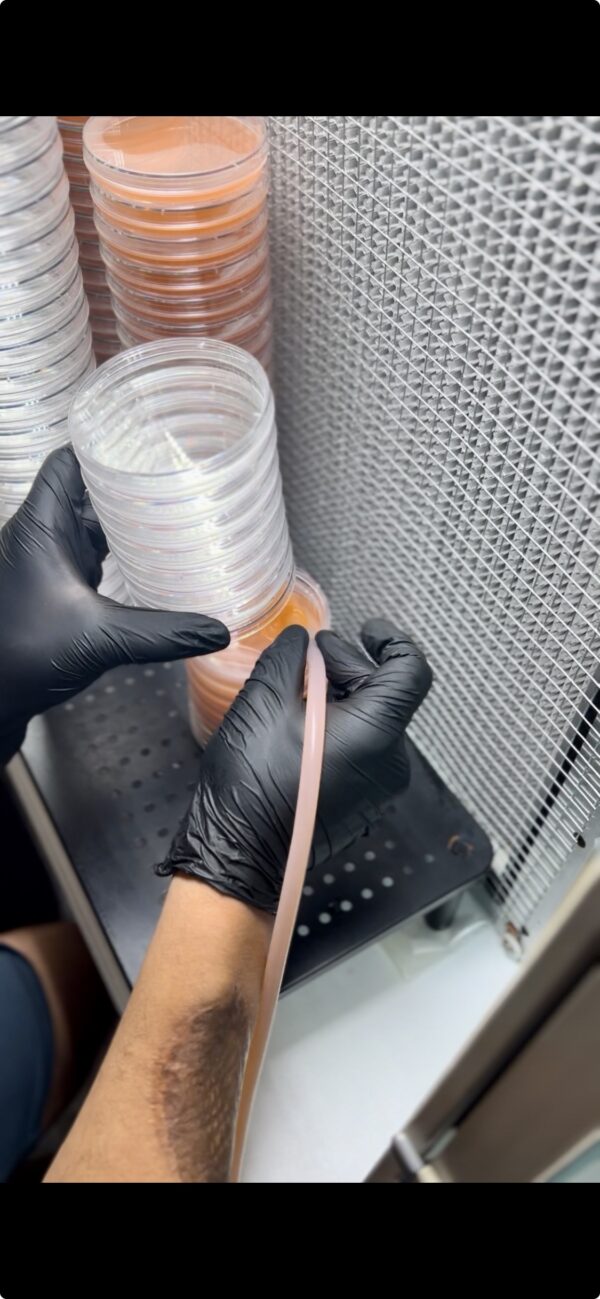(5) Pre poured 100mm Cell Treat Petri Dishes W/ Grip Ring - Image 4