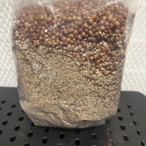 1.5lbs Milo Grain Spawn
