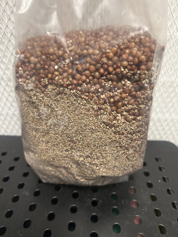 1.5lbs Milo Grain Spawn