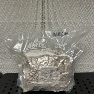 1.5lb Fully Colonized Research Grain Bags