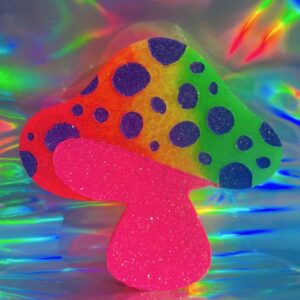 Mushroom Car Freshies