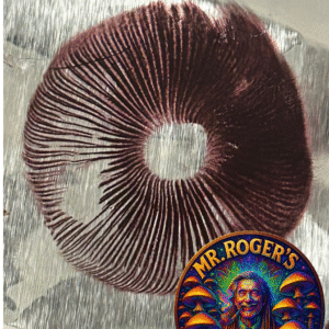 Mak Daddy Research Spore Print