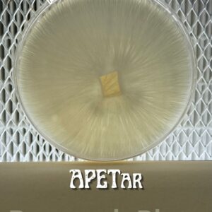 APETar Research Plate