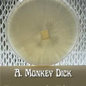 Albino Monkey Dick Research Plate