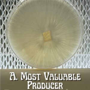 Albino Most Valuable Producer Research Plate