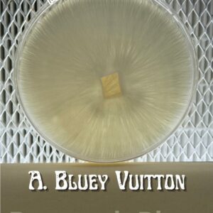 Albino Bluey Vuitton Research Plate