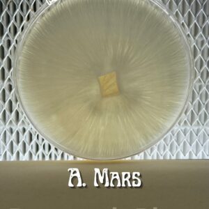 Albino Mars Research Plate