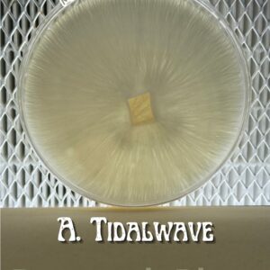Albino Tidalwave Research Plate