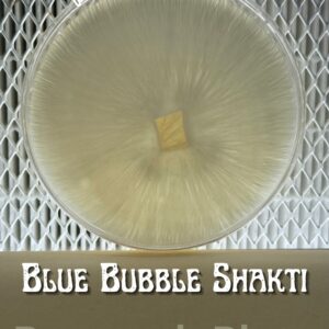 Blue Bubble Shakti