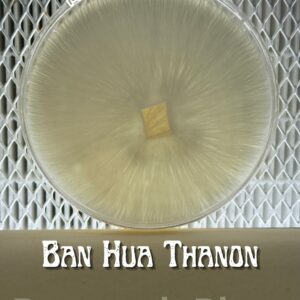 Ban Hua Thanon Research Plate