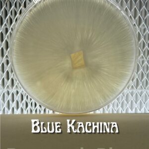 Blue Kachina Research Plate