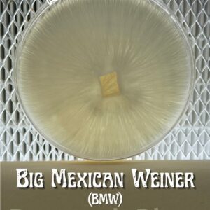 Big Mexican Weiner (B.M.W.) Research Plate