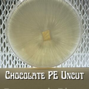 Chocolate Penis Envy Uncut Research Plate