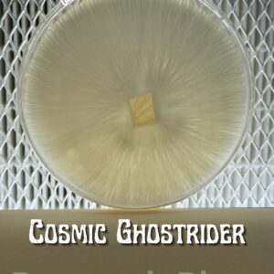 Cosmic Ghostrider Research Plate