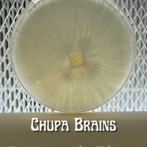 Chupacabra Brains Research Plate