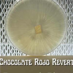 Choco Rojo Revert Research Plate