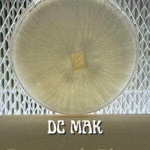 DC Mak Research Plate