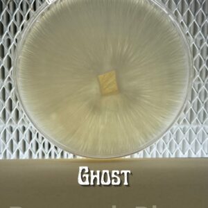 Ghost Research Plate