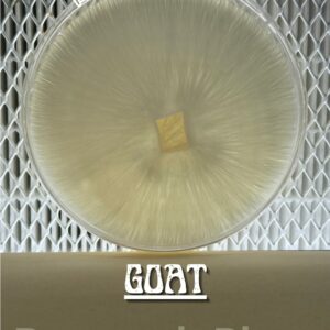 GOAT Research Plate