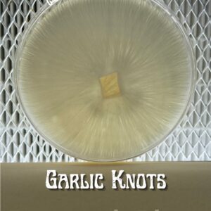 Garlic Knots Research Plate