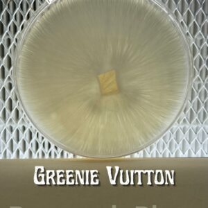 Greenie Vuitton Research Plate