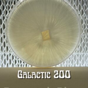 Galactic 200 Research Plate