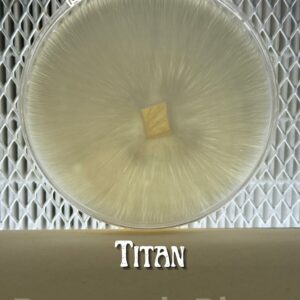 Titan Research Plate