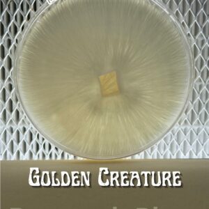 Golden Creature Research Plate