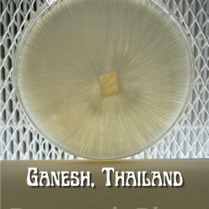 Ganesh, Thailand Research Plate