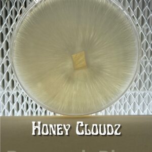 Honey Cloudz Research Plate