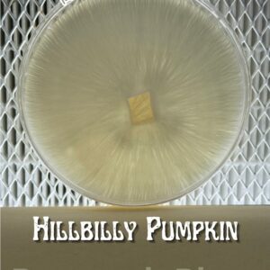 Hillbilly Pumpkin Research Plate