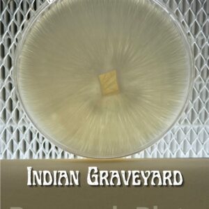 Indian Graveyard Research Plate