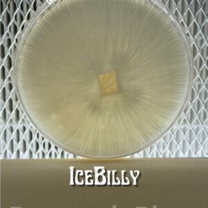 IceBilly Research Plate