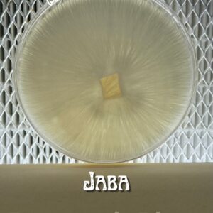 Jaba Research Plate