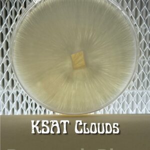 KSAT Clouds Research Plate